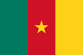The following other wikis use this file: Cameroon Wikipedia