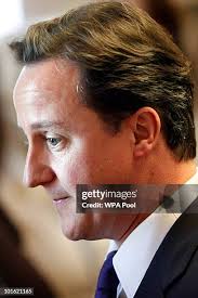 1,266 Cameron Bird Stock Photos, High-Res Pictures, and Images