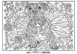 Our team will answer your questions with good learning resources. Pin Op Coloring The World