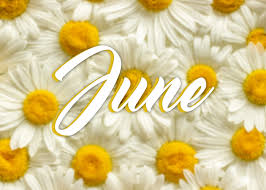 June Work Anniversaries