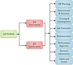 Difference Between Job Analysis And Job Description With