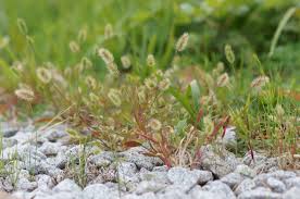 外構・エクステリア工事