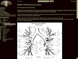 If you have a lung injury or illness, your doctor may tell you you need to have lung surgery as part of your treatment. Epos Trade