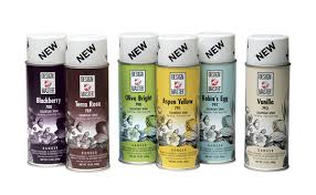 Colortool Spray Paint