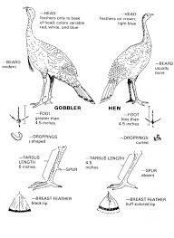 We are a turkish based company specialized in supplies andmanufacturing of different species of crude and refined edible oilwith very our new company bayar is established in istanbul at 2013 to bring new breath to our market in turkey. 2
