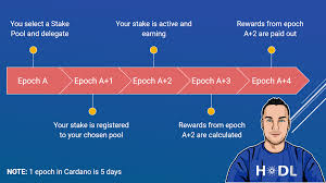 Everything you need to know. Cardano Staking Faq Cardano With Paul Staking Pool