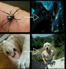 Dogman Meme By Jhonataskhan Memedroid