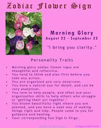Morning Glory August 22 September 22 Virgo Flower Virgo Horoscope Zodiac