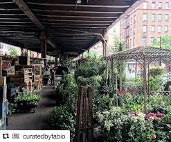Garden Center In The Most Amazing City In The World Nyc 116th And Park Ave At La Marqueta Ugceats Coming Soon Gard Urban Garden Garden Center Garden Design