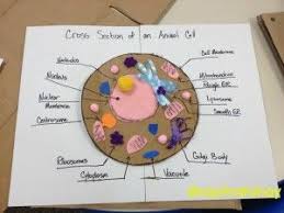 Purple icing = cell membrane, the part of the cell that encloses and protects it. Create A Cross Section Of An Animal Cell Using Craft Supplies Say It Rah Shay Animal Cell Animal Cell Project Cells Project