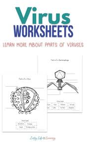 Pin On Homeschooling