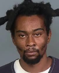 Nearly 20 new Manatee County Jail arrests mugshots