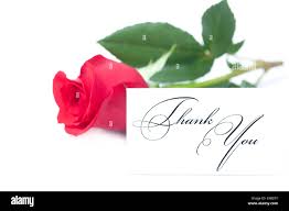 Beautiful red rose card words immagini e fotografie stock ad alta  risoluzione - Alamy