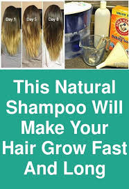 The good news for those trying to. Easy Hair Growth Your Diet Features A Direct Effect On The Healthiness Of Hair Is Lifeless Or Dull To He How To Grow Your Hair Faster Help Hair Grow Grow Hair