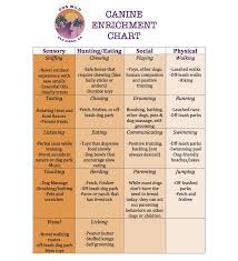 Chart Jpg Dog Enrichment Dog Activities Dog Daycare