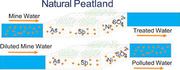 If A Leach Field Floods It Becomes Anoxic And Effective Treatment Ceases