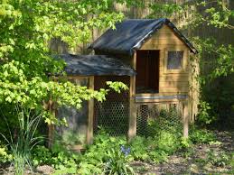 Most of the owners let their chickens roam freely in fenced yards during the day, then tuck them into henhouses. How To Keep Backyard Chickens Realestate Com Au
