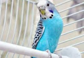 Check spelling or type a new query. Kostenlose Malvorlage Tiere Marienkafer Zum Ausmalen