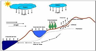 Precipitation merupakan salah satu faktor yang memainkan peran sangat penting dalam upaya mengendalikan terlaksananya siklus hidrologi yang terjadi dalam suatu wilayah. Evaporasi Adalah Shefalitayal
