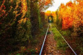 Check spelling or type a new query. Locuri Spectaculoase Romania TuristicÄ Romtur