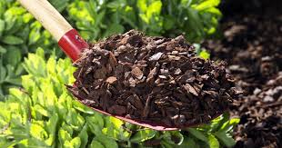 10 Tipps Rund Ums Mulchen Mulchen Mulch Gartenboden