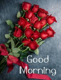 Good Morning Rose Flowers In 2020 Red Rose Bouquet Rose Bouquet Good Morning Roses