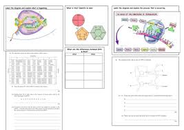 Our printable translation worksheets contain a variety of practice pages to translate a point and translate shapes according to the given rules and directions. Transcription Translation Revision Summary Teaching Resources