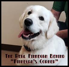 Image result for Canary Yellow 1958 General Electric