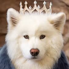 Beautiful capture! ❤️