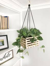 Diy Plant Hangepflanzen Zimmer Hangepflanzen Pflanzen Dekor
