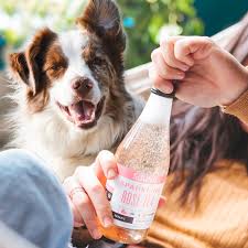 However, there are many factors that can affect how much your dog will drink, so you should not be restricting your dog's water intake. Can Dogs Drink Carbonated Water Dog Leash Pro