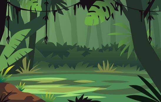 Jungle