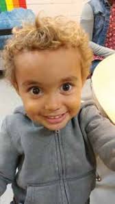 2017 Annual Report Web