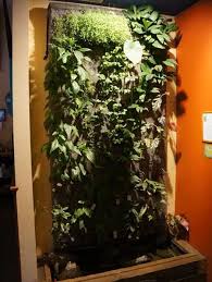 Create your own picture frame planter blooming with a mosaic of live succulents and moss. How To Start A Vertical Garden