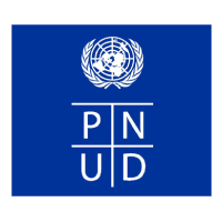 Pnud Recrute Offres D Emplois
