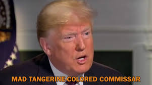 They knew he was a lemon but elected him anyway. Buyer's remorse has set  in, which may lead us to getting a better model.