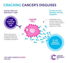 Http Scienceblog Cancerresearchuk Org 2016 01 19 Engineering A Cancer Fighting Immune Super Soldier Science Blog Science Biology Cancer Research Uk