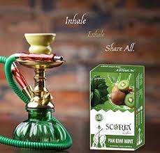 SCORIA Superior Hookah Double Apple, Brain Freezer, Dubai Special, Kesar  Pan, Pan Kiwi MInt, Chocolate Flavour & 3 Box Filter (Pack Of 9) :  Amazon.in: Home & Kitchen