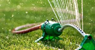 You can do your part to manage water usage, and keep your lawn. How And When To Water Your Lawn Love The Garden