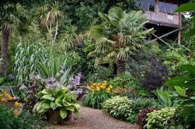 A Subtropical Garden In A Temperate Climate That Defies Being In A City Page 7 Tropical Garden Japanese Garden Design Tropical Backyard