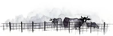 Never Get Involved in a Land War in Asia (or Build a Website for No Reason) 