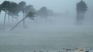 Todas las noticias sobre huracanes publicadas en el país. Huracan Iota Los Efectos Positivos Del Fenomeno En El Medioambiente