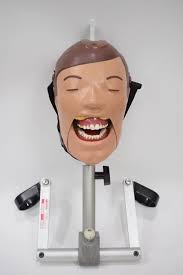 DENTAL SCHOOL X-RAY Trainer DXTTR III MANNEQUIN Adult Size Natural Head  Dexter $4,990.00