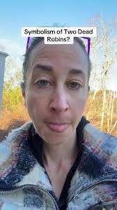 Spiritual Meaning Seeing 2 American Robin