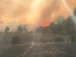 Δασική πυρκαγιά στην περιοχή σας.» πηγή: 8essalonikh Epikindynes Diastaseis Pairnei H Fwtia Sthn Pylaia Ekkenwnetai Oikismos Ta Nea