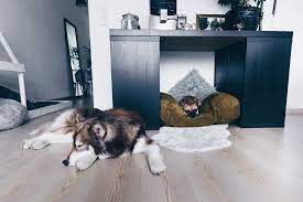 Beim kauf einer hundehütte ist die auswahl groß. Diy Hundehutte Fur Die Wohnung Selber Bauen Inklusive Praktischem Stauraum Lifestyle Blog Aus Osterreich