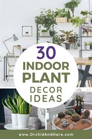 30 Indoor Plant Decorating Ideas Houseplant Decor Ideas Perfect For Apartments Living Rooms Bedrooms Kitc Plant Decor Indoor Plant Decor Houseplants Decor