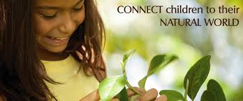 Eco Teaching Resouces |