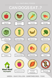 Can Dogs Eat Apples Can Dogs Eat Carrots What About Mango And Broccoli Discover More By Re Raw Dog Food Recipes Dangerous Foods For Dogs Can Dogs Eat Apples