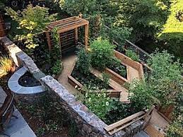 The Backyard Farm Company Edible Landscaping Edible Gardens Marin Backyard Farming Small Garden Layout Backyard Garden